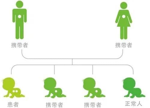 微信图片_20200809213531.jpg