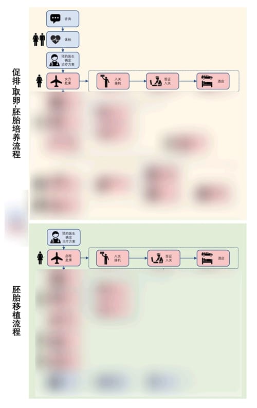 IVF流程.jpg