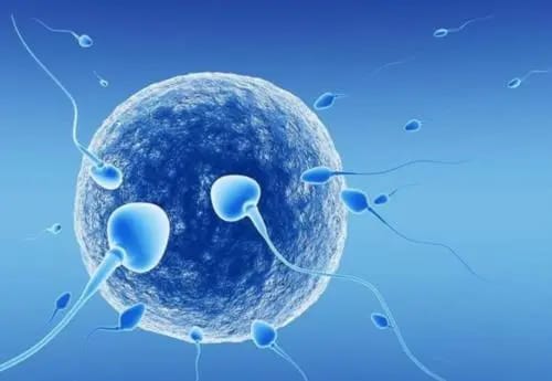 排卵期有什么症状？排卵同房后多久能测出怀孕