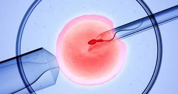 女性输卵管不通可以做试管婴儿吗？